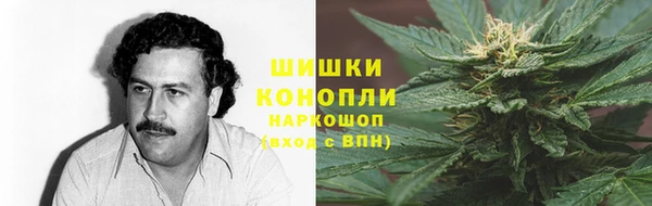 молекула духа Зеленодольск