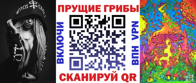 Псилоцибиновые грибы Psilocybe  Купить  Десногорск 